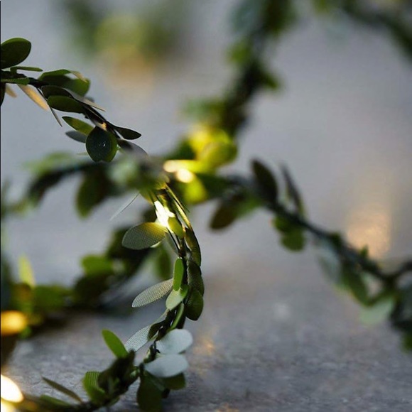 Leaf string lights wrap around green twinkling - Picture 5 of 6